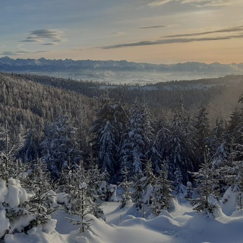 Jednodniowa wycieczka skiturowa na Turbacz z Wojtkiem Szatkowskim