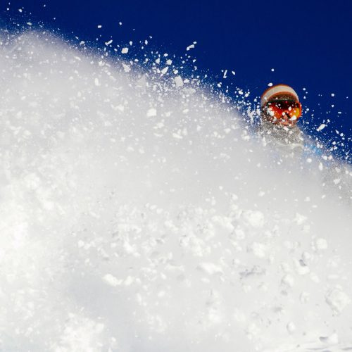 Japonia Freeride Safari
