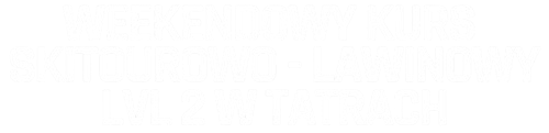 LVL 2